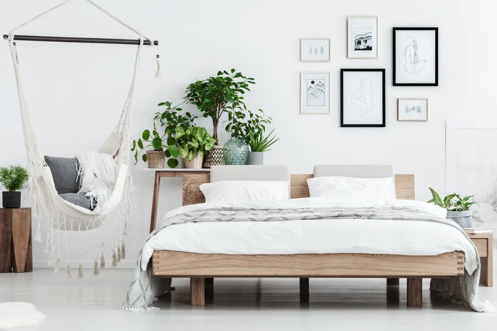 Green Plants in White Bedroom