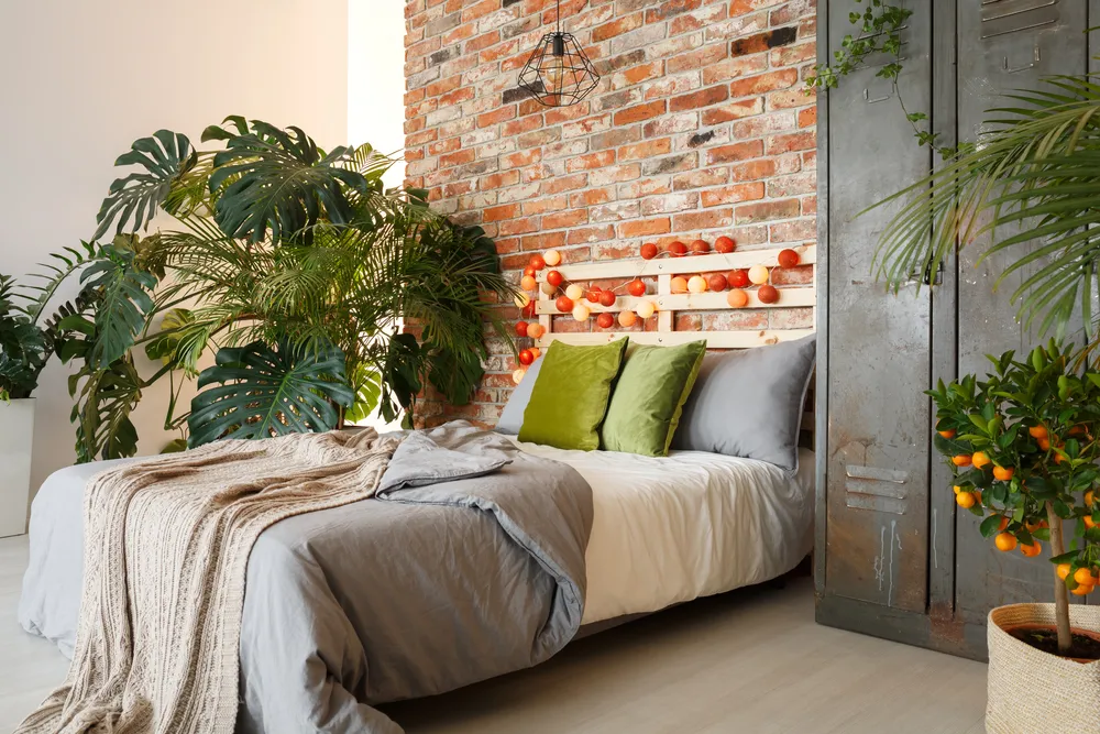 apartment with bed and plant
