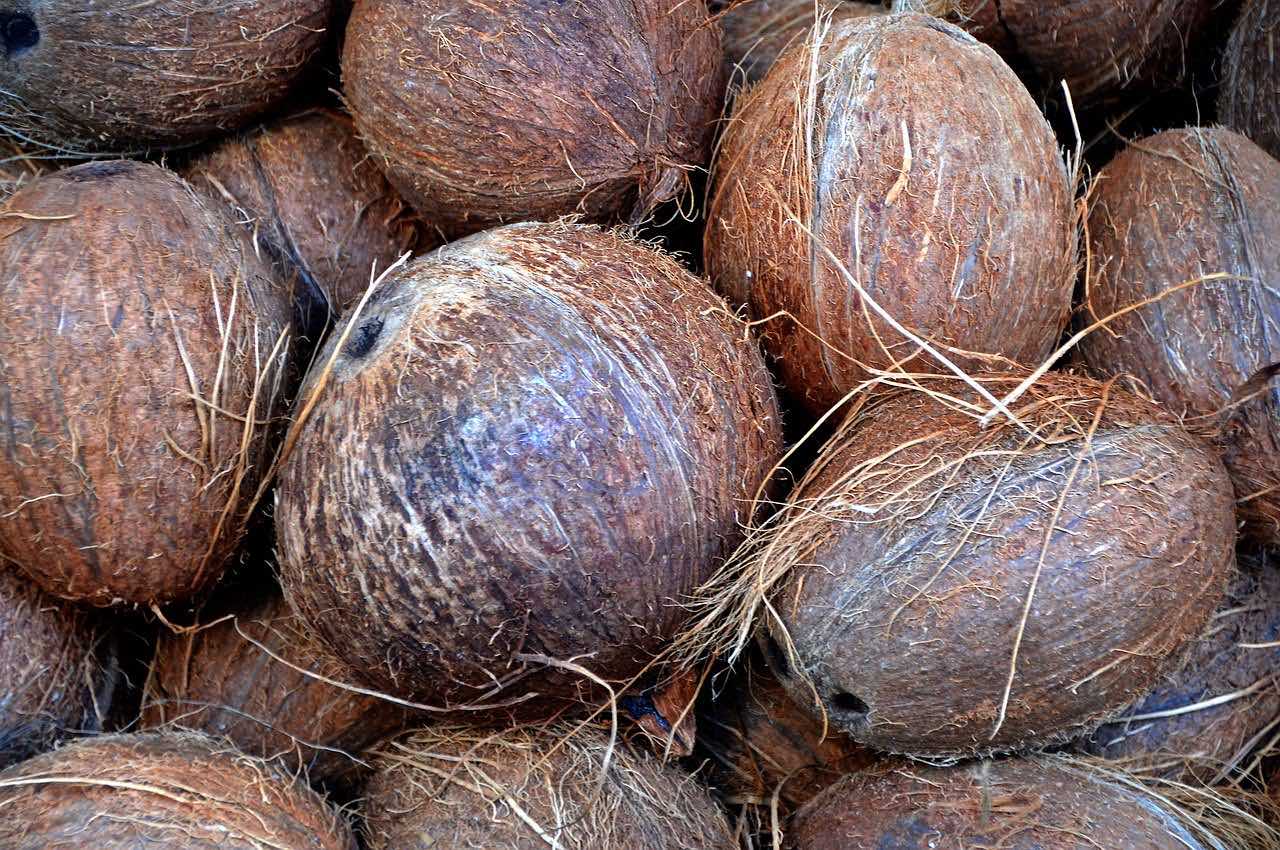 Coconuts piled up