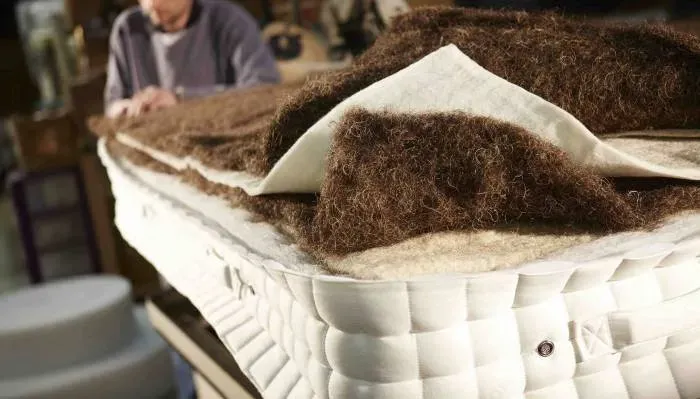 Horsehair in an organic mattress