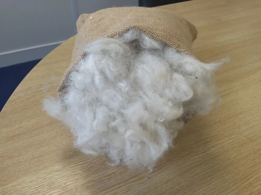 Natural English Wool used in John Ryan mattress upholstery layers