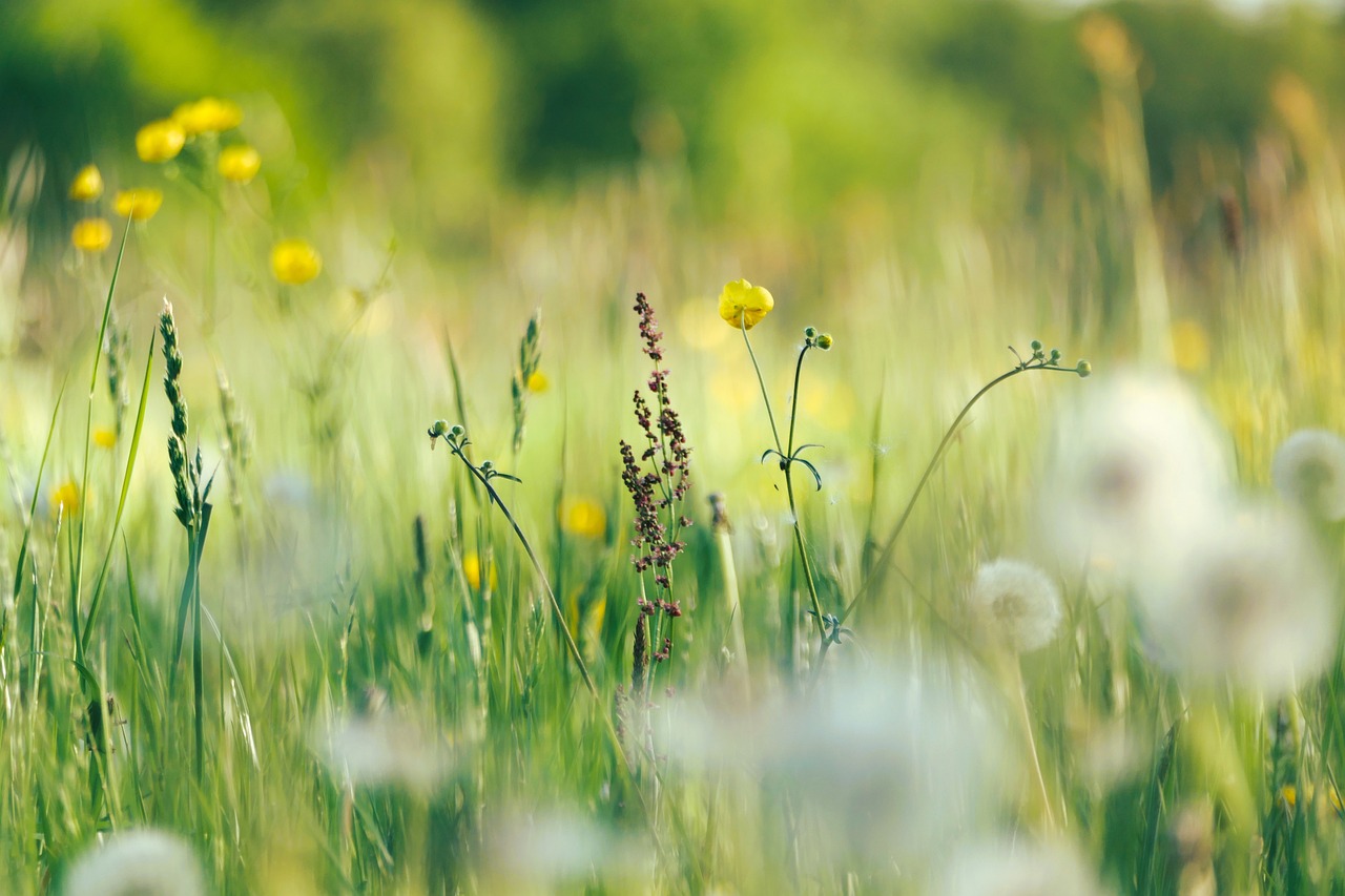 Hayfever sleep guide