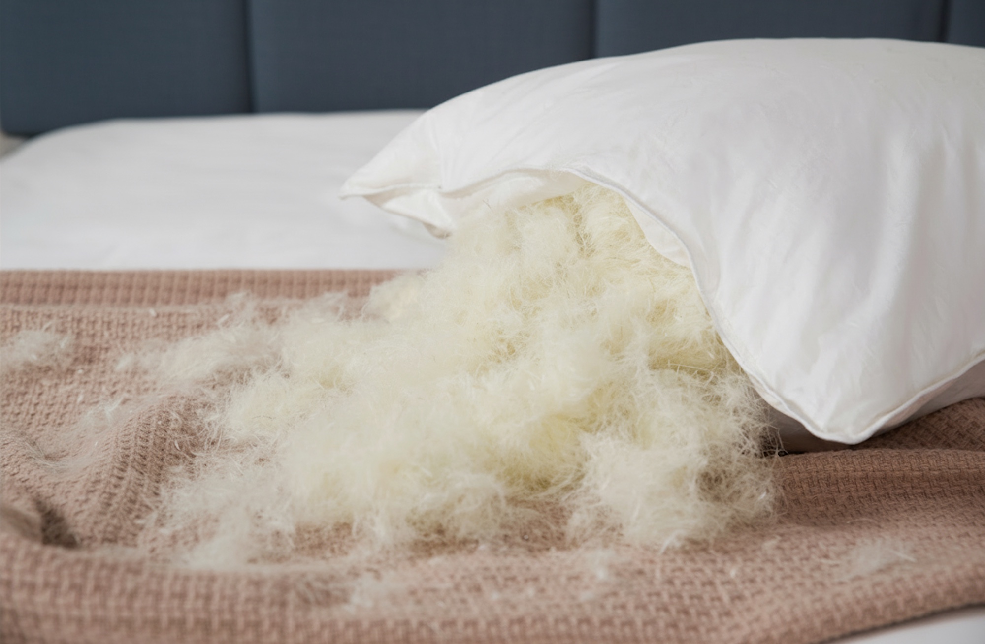 Ducks filled pillows