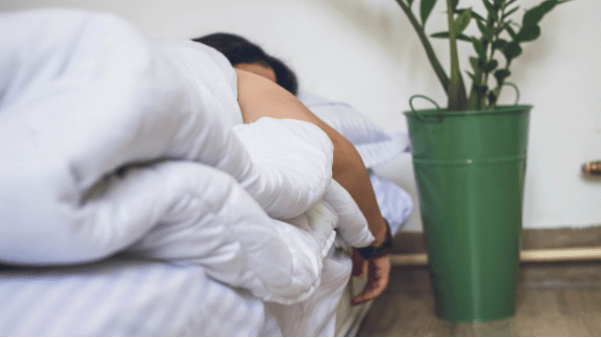 A stomach sleeper in bed, next to a large potted plant
